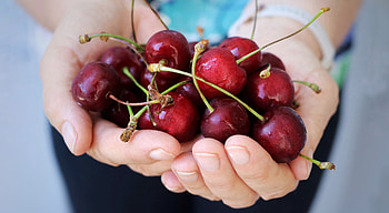 macro, food, fruit HD wallpaper