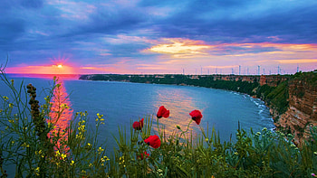 Sunset at the Black Sea, Bulgaria, blossoms, wildflowers, coast, colors, clouds, flowers, sky HD wallpaper