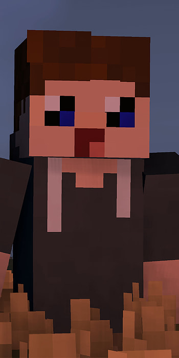 Field, video game, Minecraft HD phone wallpaper