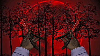 CS:Go Butterfly Knife | Crimson Web Wallpapee HD wallpaper