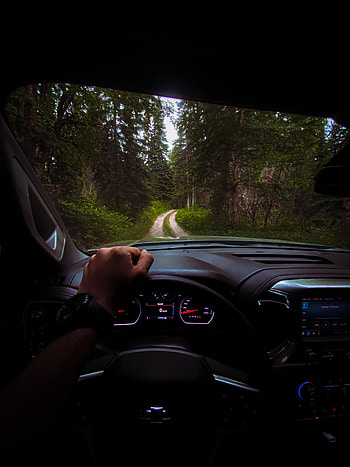 Chevrolet, Cars, Hand, Forest, Car, Machine, Steering Wheel, Rudder HD phone wallpaper