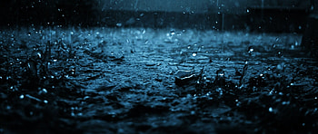 close-up, drop, black, blue, rain HD wallpaper