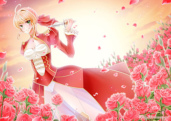 Saber, pixiv id 3038987, tears, fate stay night, epaulettes, long hair, dress, ahoge, rose, petals, crying, blonde hair, knife, braids, m-1ng, sunset, fate extra, ribbon, anime, saber extra, flowers, hair ribbon, green eyes HD wallpaper