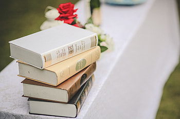 Flowers, Books, Miscellanea, Miscellaneous, Blur, Smooth HD wallpaper