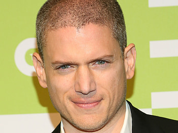 Wentworth Miller, High definition , Celebrities HD wallpaper
