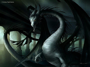 Shedow Dragon, dark dragon HD wallpaper