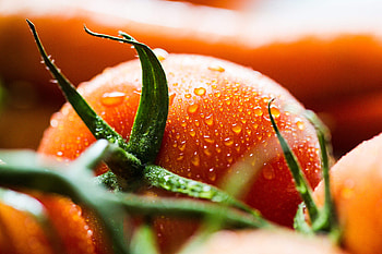 Close-up shot, Water droplets, Fresh tomato, Macro graphy HD wallpaper
