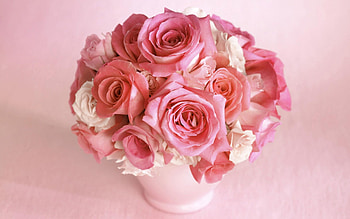 Flowers, Roses, Bouquet, Vase HD wallpaper