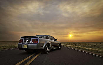 Ford Mustang Silver, ford, mustang, cars, silver HD wallpaper