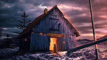 Relishing, bear, artist, artwork, digital-art HD wallpaper