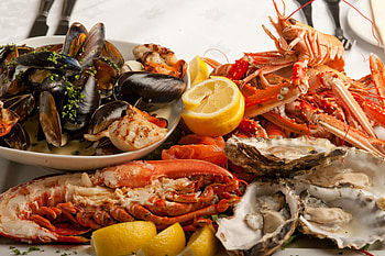 of food seafood, Gourmet graphy, Visual delight, Tempting cuisine HD wallpaper