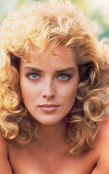 Sharon Stone, Iconic actress, Movie star, Blu-ray appreciation HD phone wallpaper