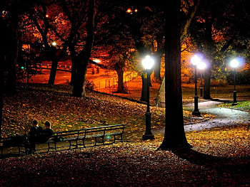 Night park, night, relax, alleys, sit, nice, autumn, friends, path, fall, beautiful, boys, summer, falling, rest, leaves, lights, romantic, lantern, lovely, foliage HD wallpaper