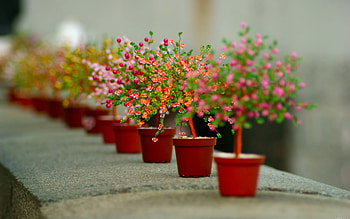 Objects HD wallpaper