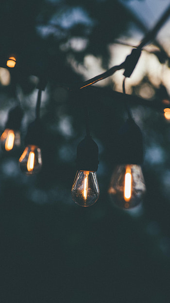 Miscellanea, Miscellaneous, Evening, Glow, Garland, Light Bulbs HD phone wallpaper