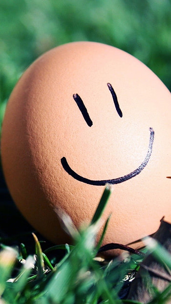 Smile Wale, Smiley, Egg HD phone wallpaper