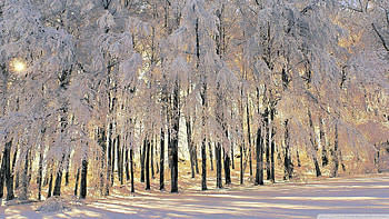 Winter Tales Winter, Tales HD wallpaper