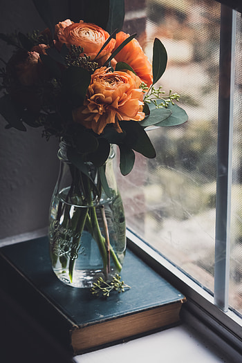 Flowers, Bouquet, Window, Vase, Book HD phone wallpaper