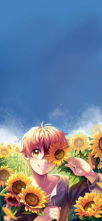 sunflower, Comic HD phone wallpaper