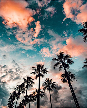 Aesthetic iPad Mini, Ipad Pro Aesthetic HD phone wallpaper