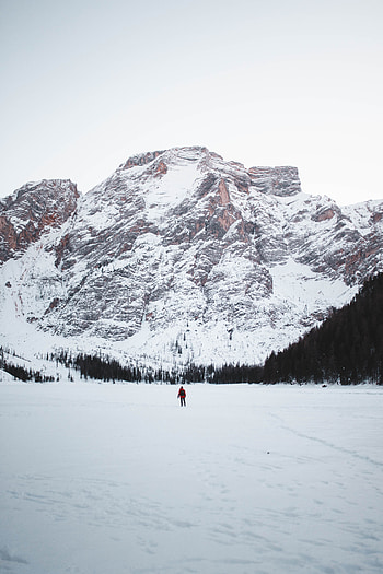 Landscape, Nature, Trees, Mountains, Snow, Tourist HD phone wallpaper