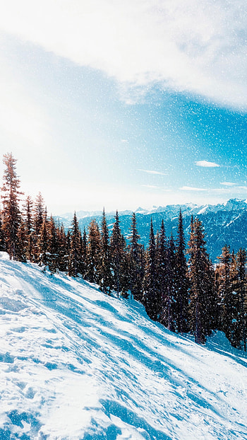nature, winter HD phone wallpaper