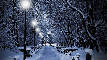 Park, winter, beautiful, nature HD wallpaper