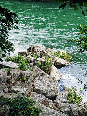Nature, Rivers, Grass, Stones, Waves, Branches HD phone wallpaper