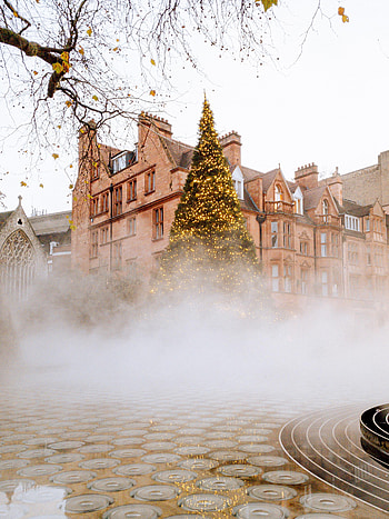 Holidays, New Year, Building, Fog, Christmas, Christmas Tree HD phone wallpaper
