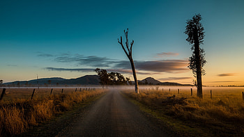 Morning, , Road, Fog, Landscape, Nature HD wallpaper