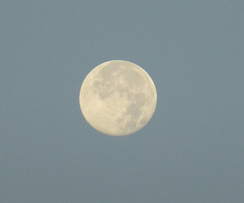 The Moon, moon in the sky, sky, morning moon, moon HD wallpaper
