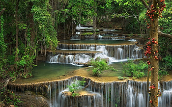 Paradise, trees, waterfall, amazing, water HD wallpaper