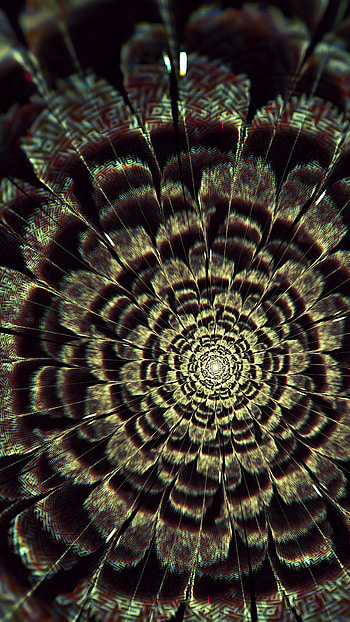 Abstract, Flower, Fractal, Glow HD phone wallpaper
