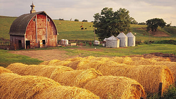 Farming , Agriculture backgrounds, Rural landscapes, Farm life HD wallpaper