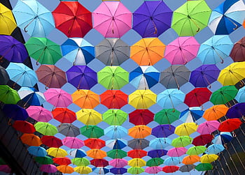 Bright and colorful arrangement of umbrellas creating a vibrant canopy. HD wallpaper