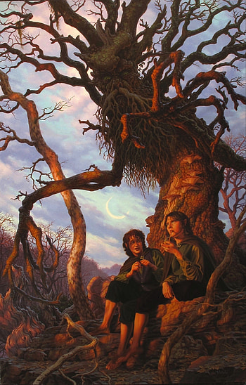 Treebeard, Movies, Treebeard Raoulvitale, Fantasy Concept HD phone wallpaper