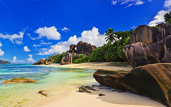 Beach, nature, water, palm HD wallpaper