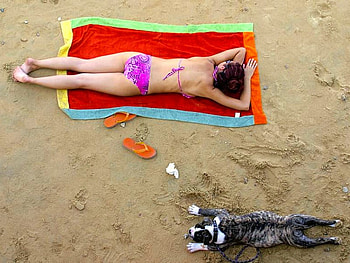 Lying on Beach, funny HD wallpaper