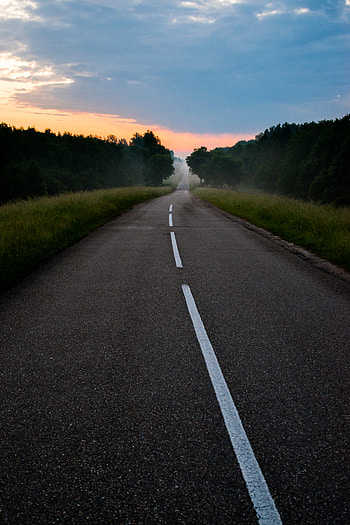 Nature, Dawn, Road, Markup, Fog HD phone wallpaper