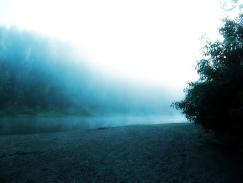 Strange World 6, fog, nature, lake, tree HD wallpaper