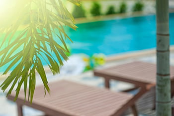 Blurred view of a resort poolside area with palm leaves and sunlight creating a tropical atmosphere. HD wallpaper