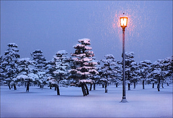 light in the night, winter, night, light, snow, nature HD wallpaper