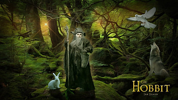 Speed art of Radagast the Brown, Artistic process, Fascinating and detailed, Magical character HD wallpaper
