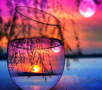 Simply Beauty, Beach, Sunrise, Glass, Branches HD wallpaper