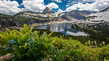 Glacier National Park Montana, Hidden Lake, Bearhat Mountain, Reynolds landscape HD wallpaper