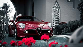 Transport, Auto, Alfa Romeo HD wallpaper