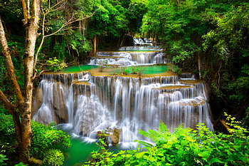 Beautiful forest cascades, river, exotic, cascades, waterfall, greenery, trees, beautiful, forest HD wallpaper