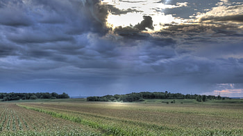 heavenly sunbeams over fields, clouds, fields, sunbeams, dark HD wallpaper