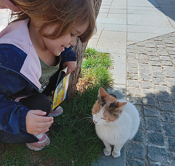 Little girl and cute cat, Girls, Love, Cats, Cute, Lovely HD wallpaper