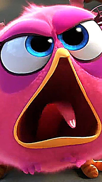 Angry Birds, Pink Bird, Movie HD phone wallpaper